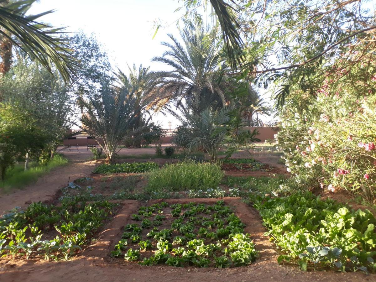 Bed and Breakfast Dar Paru M'Hamid El Ghizlane Exterior foto