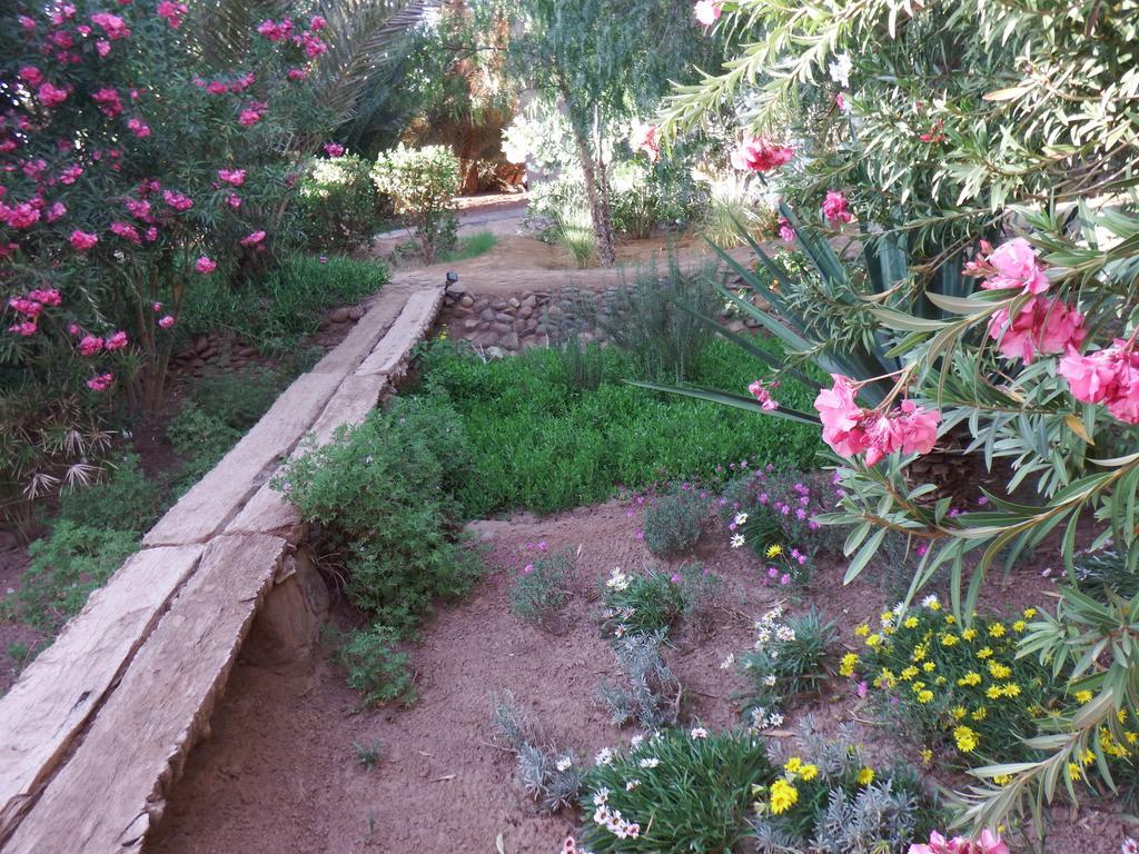 Bed and Breakfast Dar Paru M'Hamid El Ghizlane Exterior foto