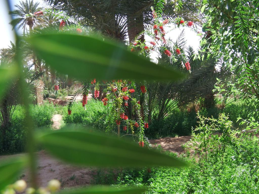 Bed and Breakfast Dar Paru M'Hamid El Ghizlane Exterior foto