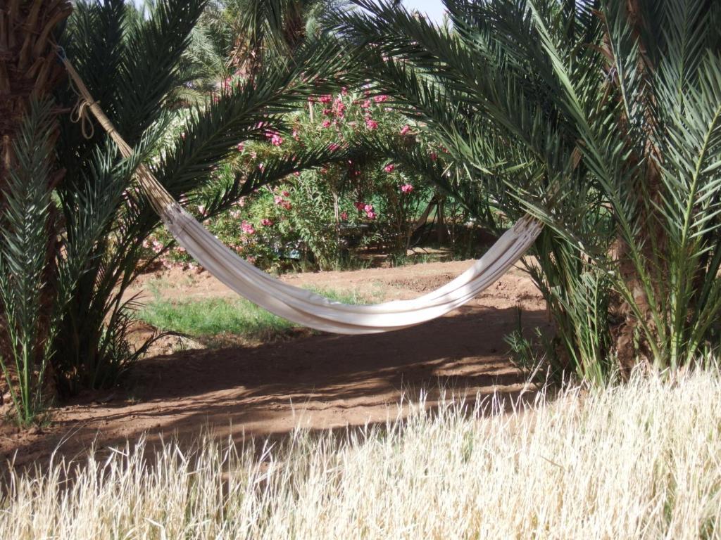 Bed and Breakfast Dar Paru M'Hamid El Ghizlane Exterior foto